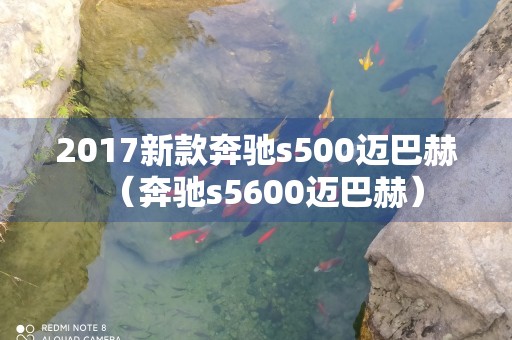 2017新款奔驰s500迈巴赫（奔驰s5600迈巴赫）