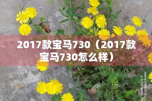 2017款宝马730（2017款宝马730怎么样）