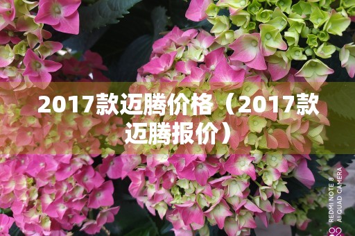 2017款迈腾价格（2017款迈腾报价）