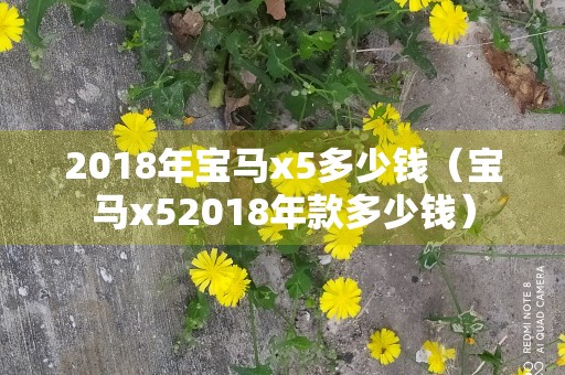 2018年宝马x5多少钱（宝马x52018年款多少钱）