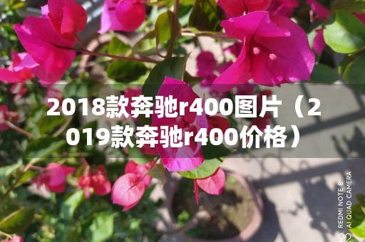 2018款奔驰r400图片（2019款奔驰r400价格）