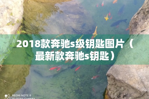 2018款奔驰s级钥匙图片（最新款奔驰s钥匙）