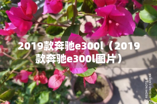 2019款奔驰e300l（2019款奔驰e300l图片）