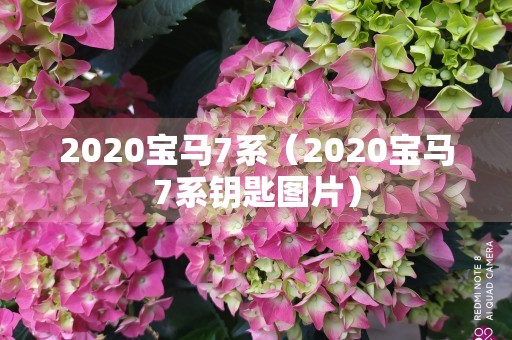 2020宝马7系（2020宝马7系钥匙图片）