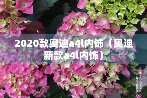 2020款奥迪a4l内饰（奥迪新款a4l内饰）