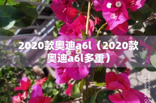 2020款奥迪a6l（2020款奥迪a6l多重）