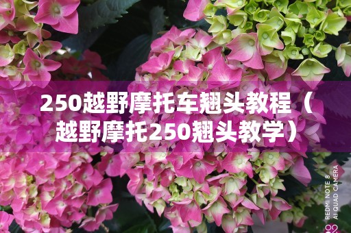 250越野摩托车翘头教程（越野摩托250翘头教学）