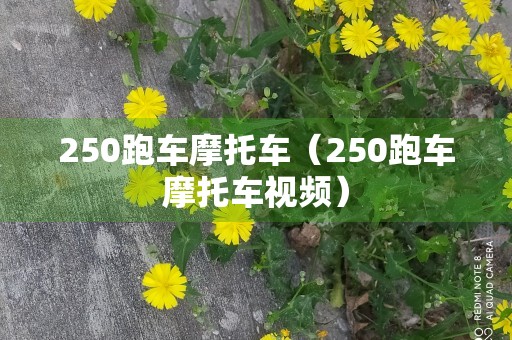 250跑车摩托车（250跑车摩托车视频）