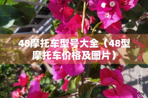 48摩托车型号大全（48型摩托车价格及图片）