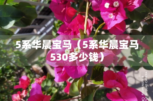 5系华晨宝马（5系华晨宝马530多少钱）