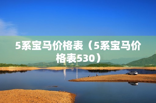 5系宝马价格表（5系宝马价格表530）