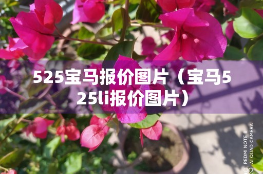 525宝马报价图片（宝马525li报价图片）