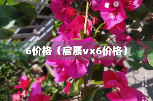 6价格（启辰vx6价格）