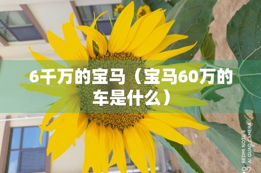 6千万的宝马（宝马60万的车是什么）