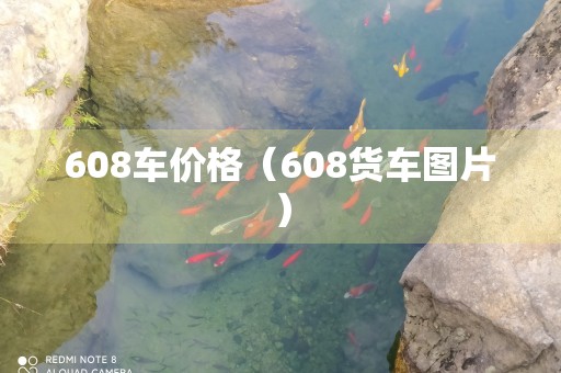 608车价格（608货车图片）