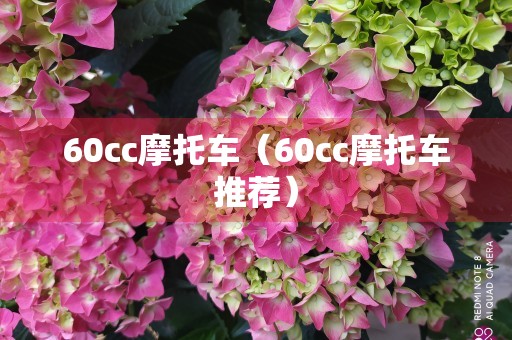 60cc摩托车（60cc摩托车推荐）