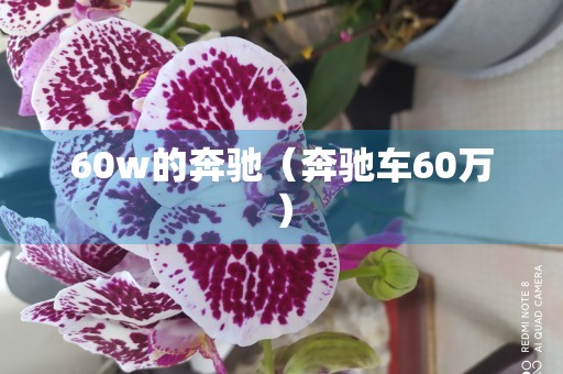 60w的奔驰（奔驰车60万）