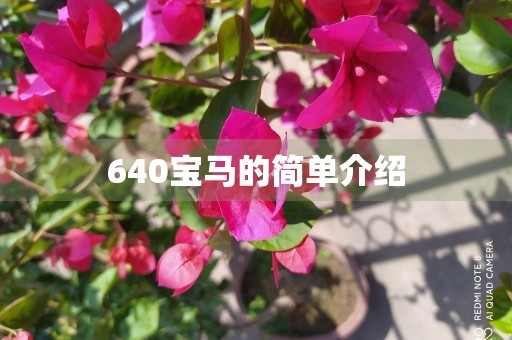 640宝马的简单介绍