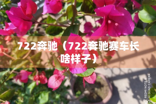 722奔驰（722奔驰赛车长啥样子）