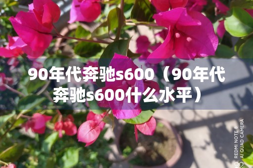 90年代奔驰s600（90年代奔驰s600什么水平）