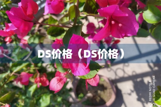 DS价格（DS价格）