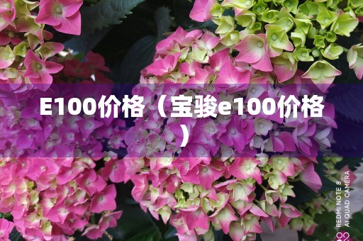 E100价格（宝骏e100价格）