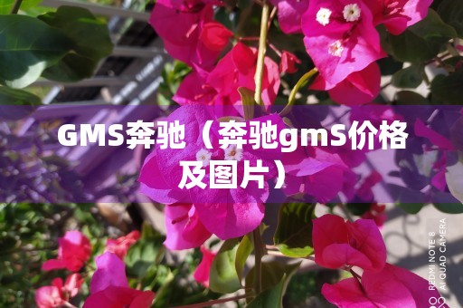 GMS奔驰（奔驰gmS价格及图片）