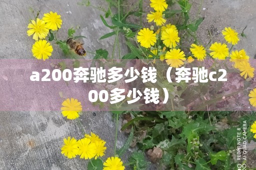 a200奔驰多少钱（奔驰c200多少钱）