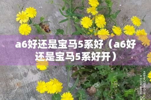 a6好还是宝马5系好（a6好还是宝马5系好开）