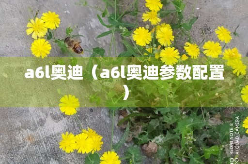 a6l奥迪（a6l奥迪参数配置）