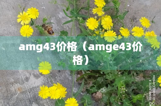 amg43价格（amge43价格）