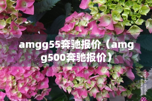 amgg55奔驰报价（amgg500奔驰报价）