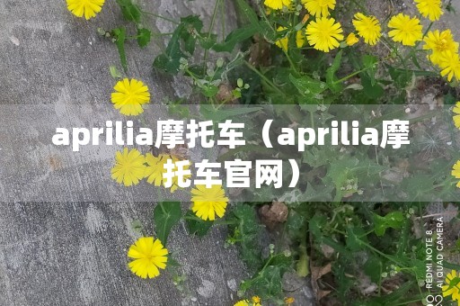 aprilia摩托车（aprilia摩托车官网）