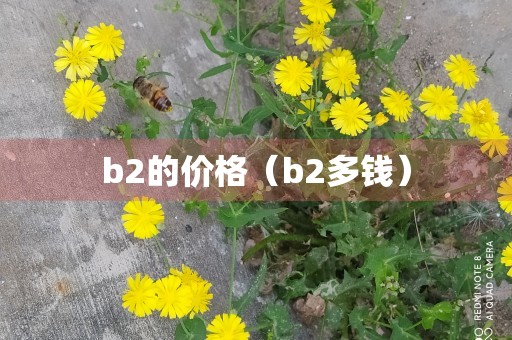 b2的价格（b2多钱）