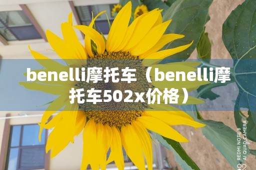 benelli摩托车（benelli摩托车502x价格）