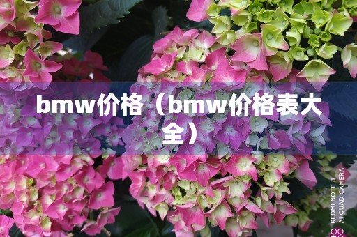 bmw价格（bmw价格表大全）