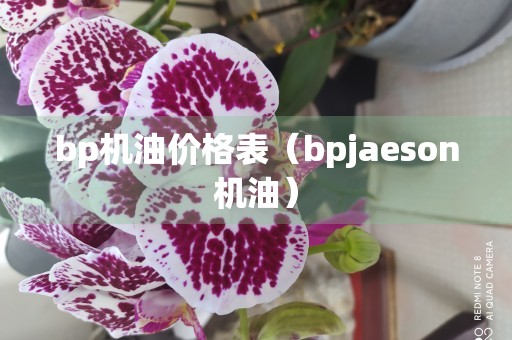 bp机油价格表（bpjaeson机油）