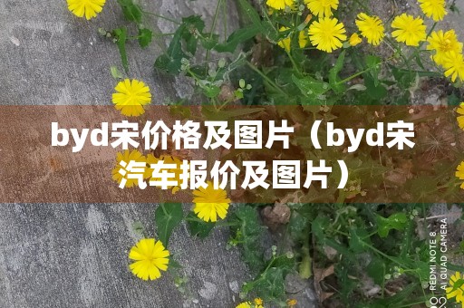 byd宋价格及图片（byd宋汽车报价及图片）