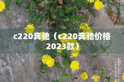 c220奔驰（c220奔驰价格2023款）