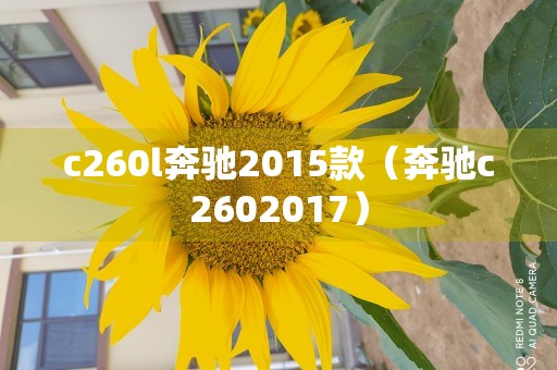 c260l奔驰2015款（奔驰c2602017）