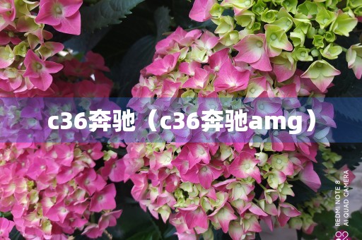 c36奔驰（c36奔驰amg）