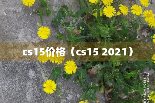 cs15价格（cs15 2021）