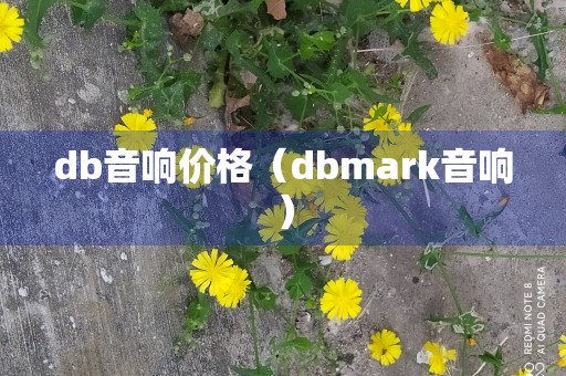 db音响价格（dbmark音响）