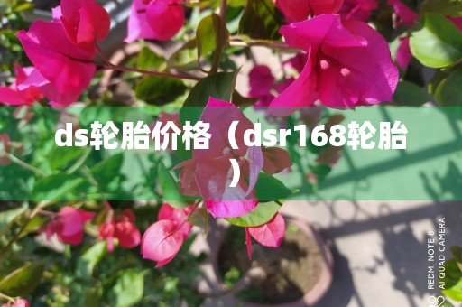 ds轮胎价格（dsr168轮胎）