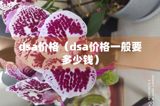 dsa价格（dsa价格一般要多少钱）