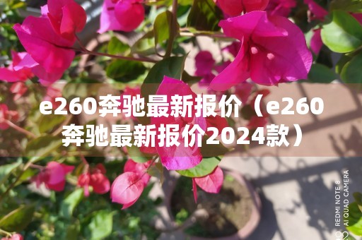 e260奔驰最新报价（e260奔驰最新报价2024款）