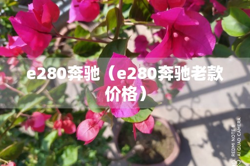 e280奔驰（e280奔驰老款价格）