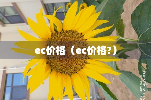 ec价格（ec价格?）