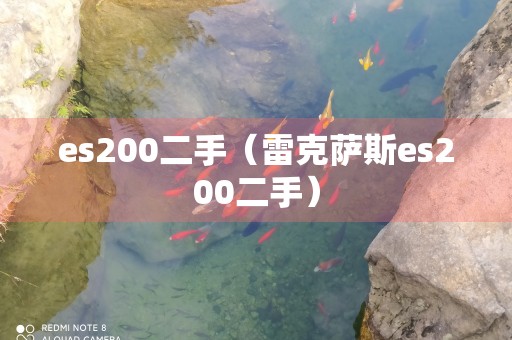 es200二手（雷克萨斯es200二手）