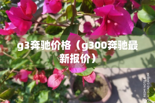 g3奔驰价格（g300奔驰最新报价）